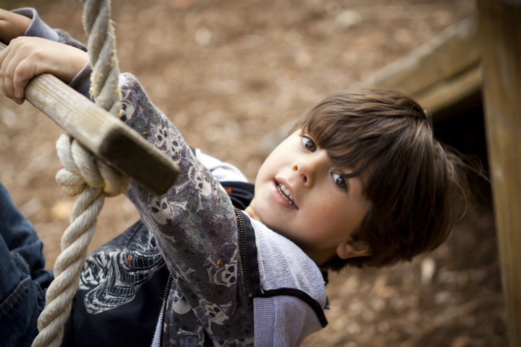 boy on ladder