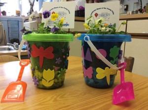 flowers in bucket