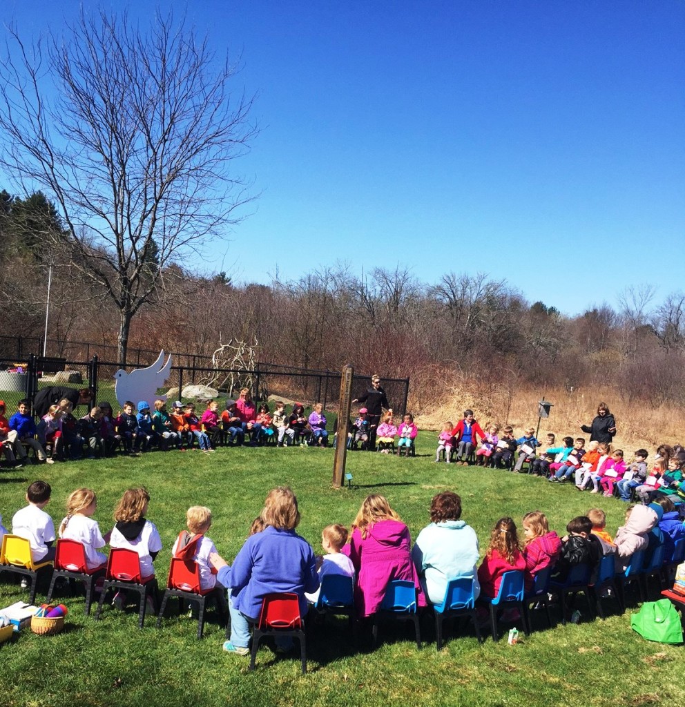 peace picnic