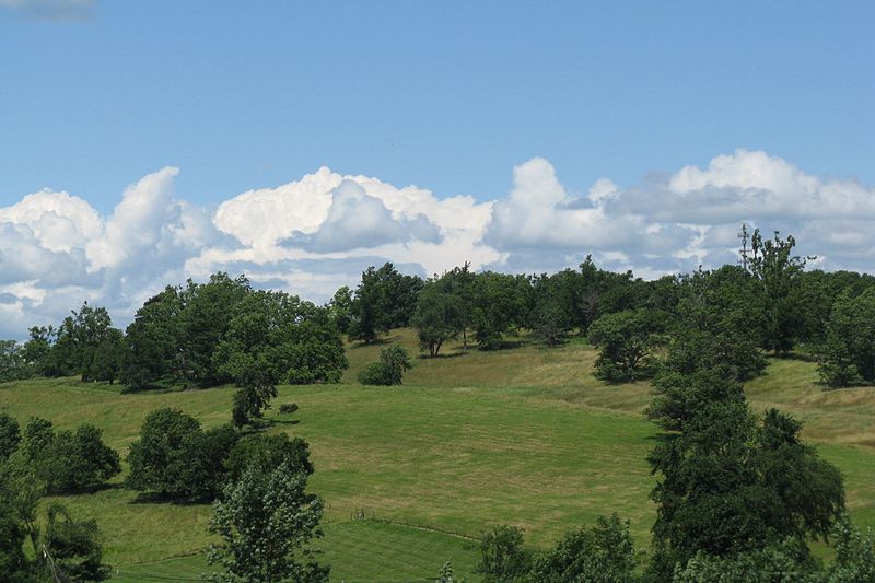 Gibbet Hill